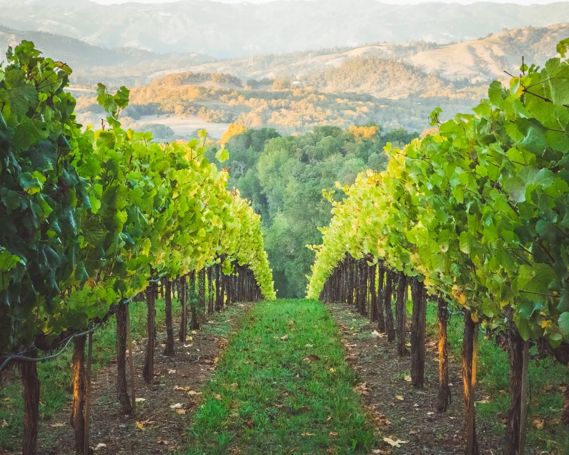 Healdsburg