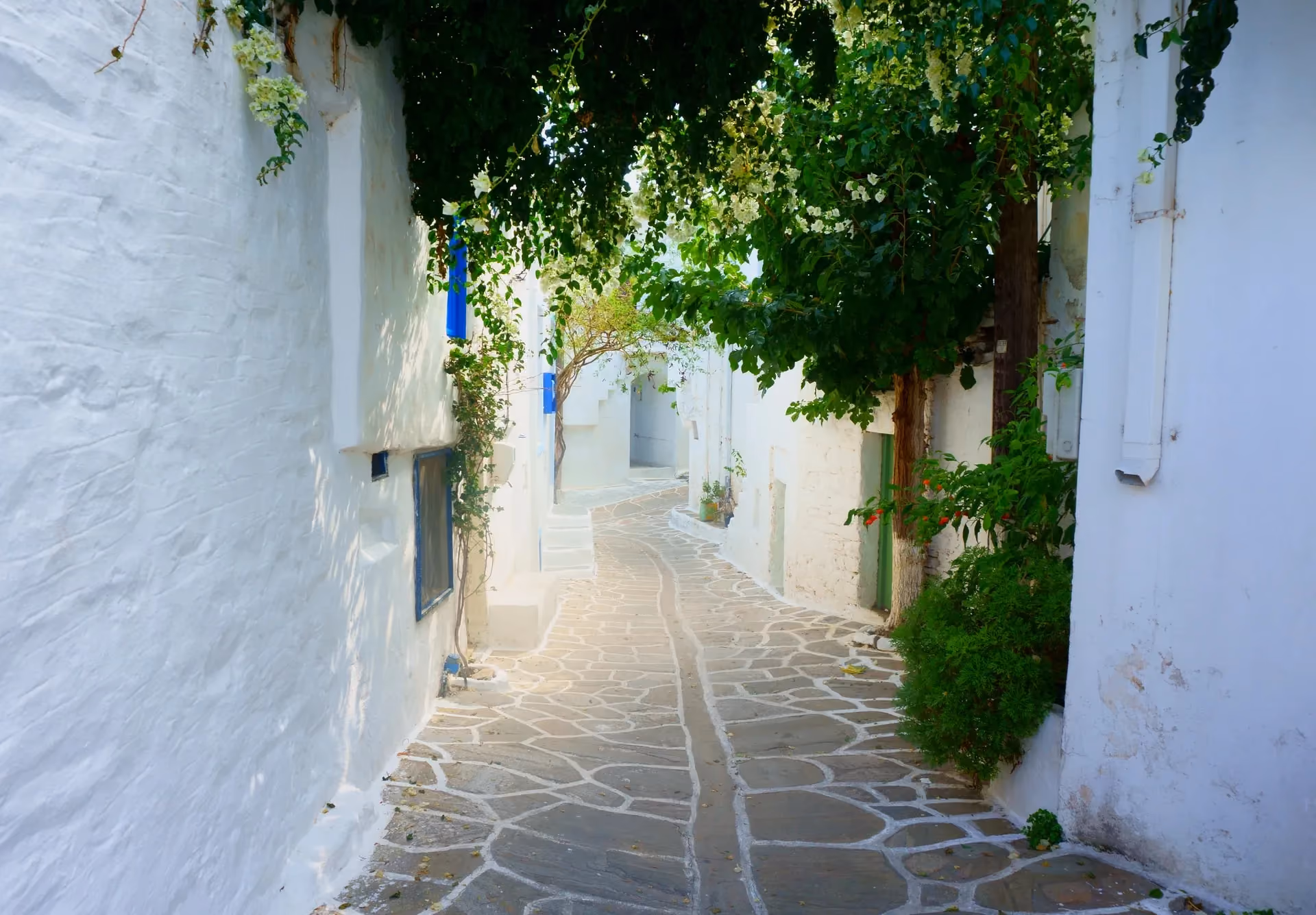 Paros