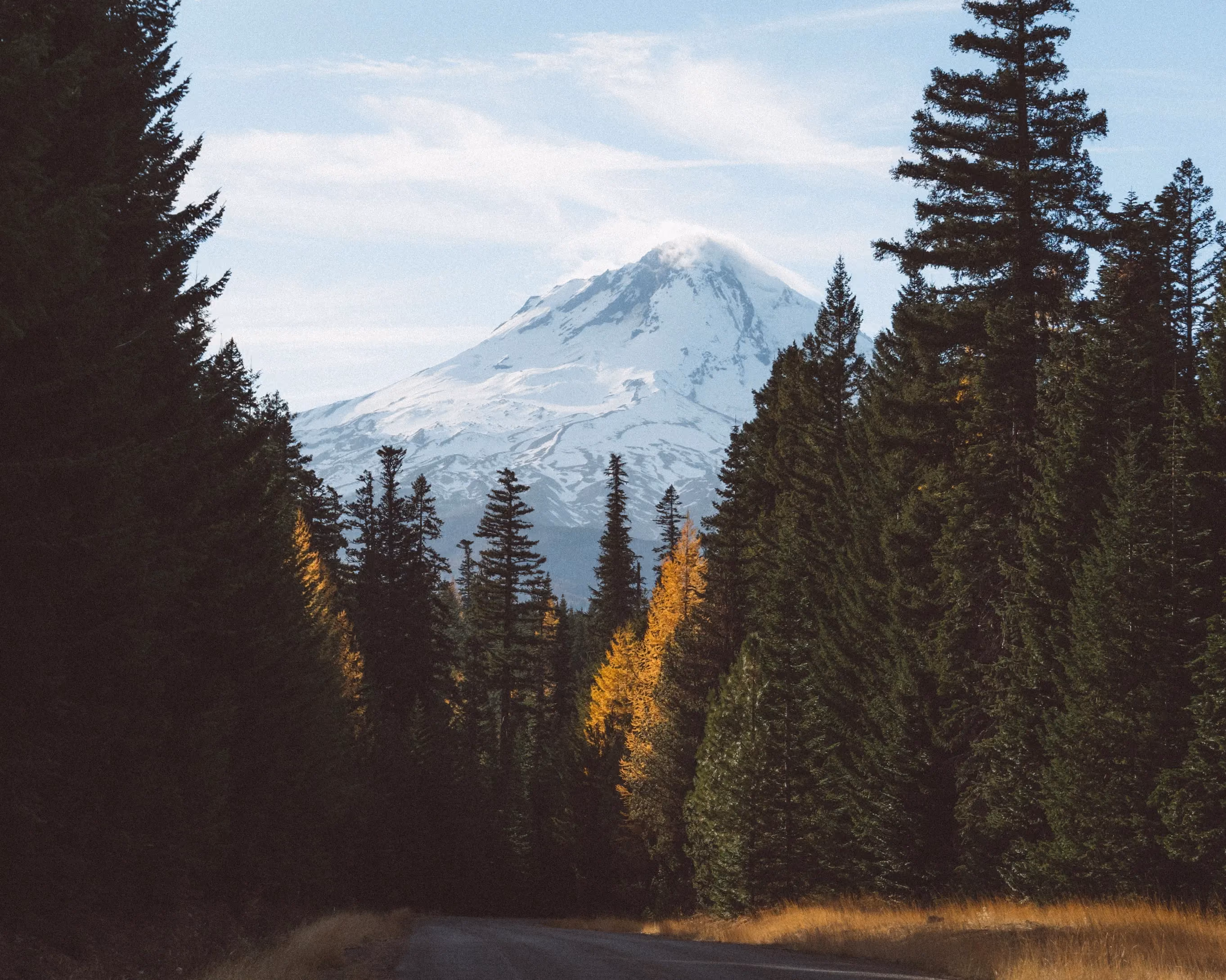 Portland