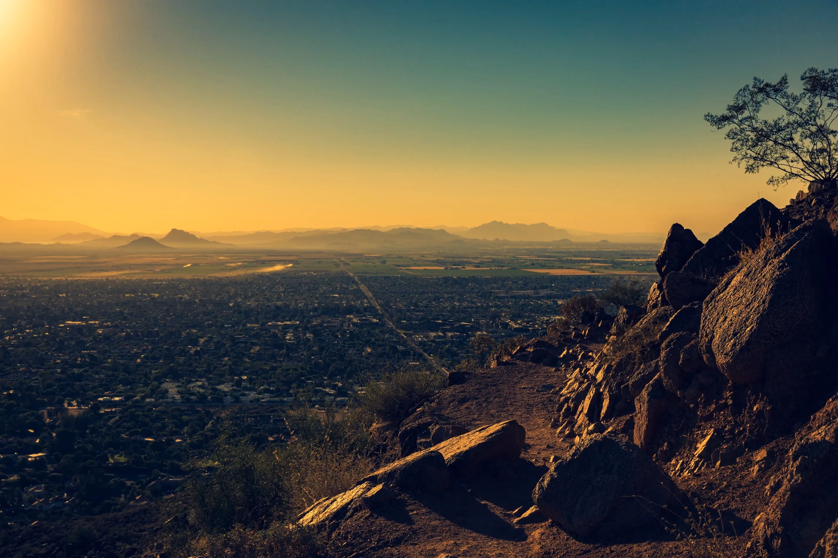 Phoenix