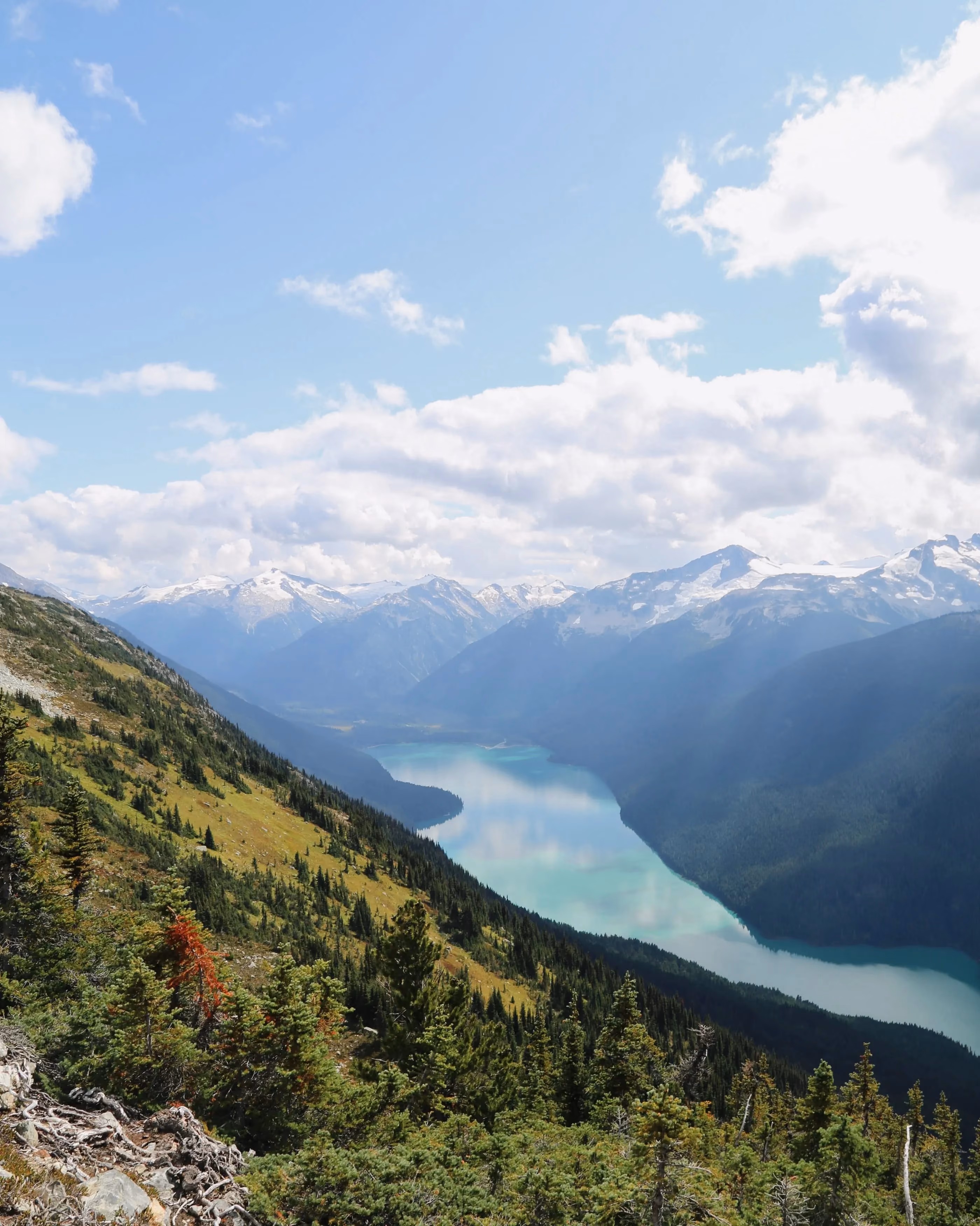 Whistler