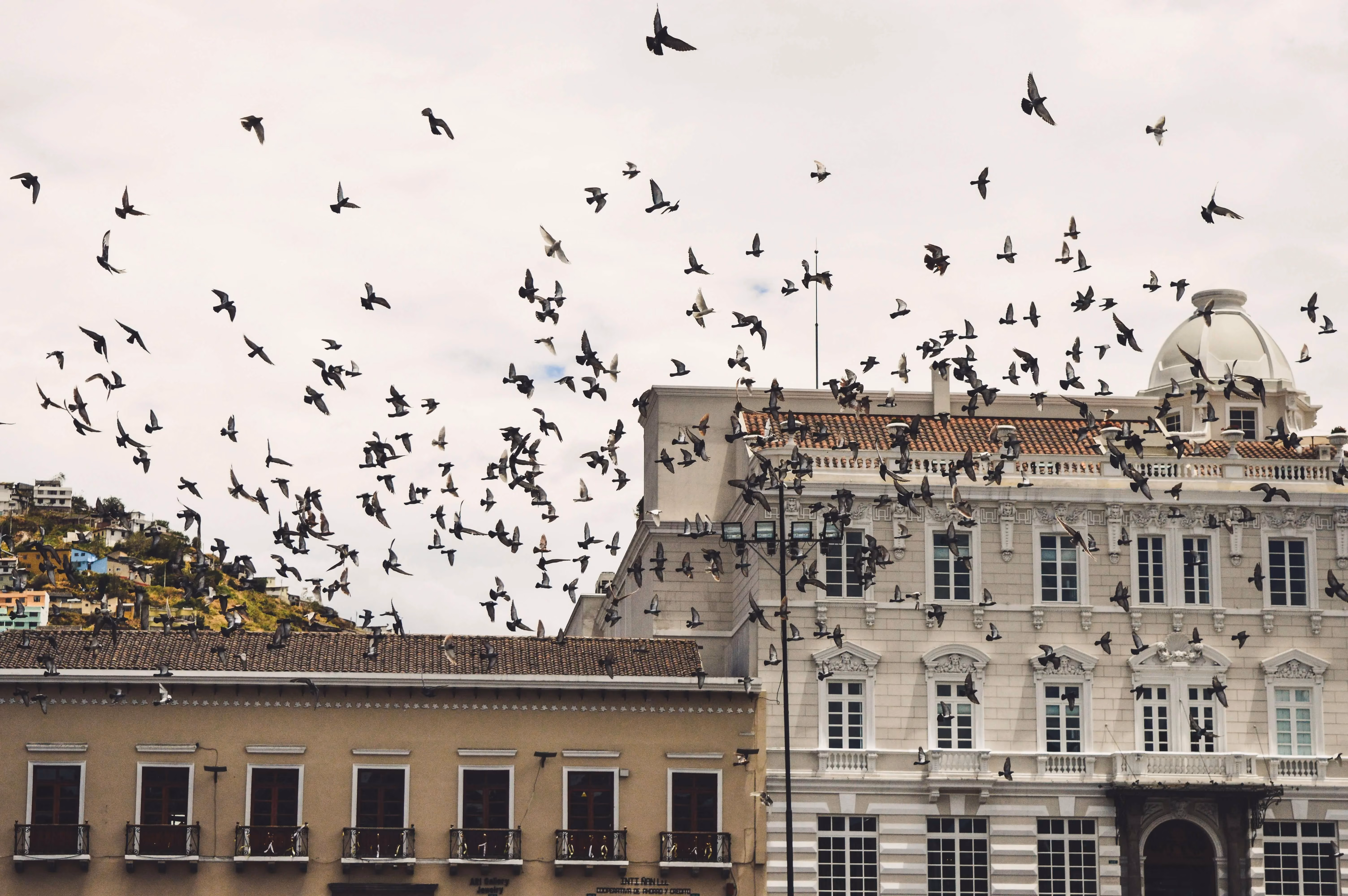 Quito