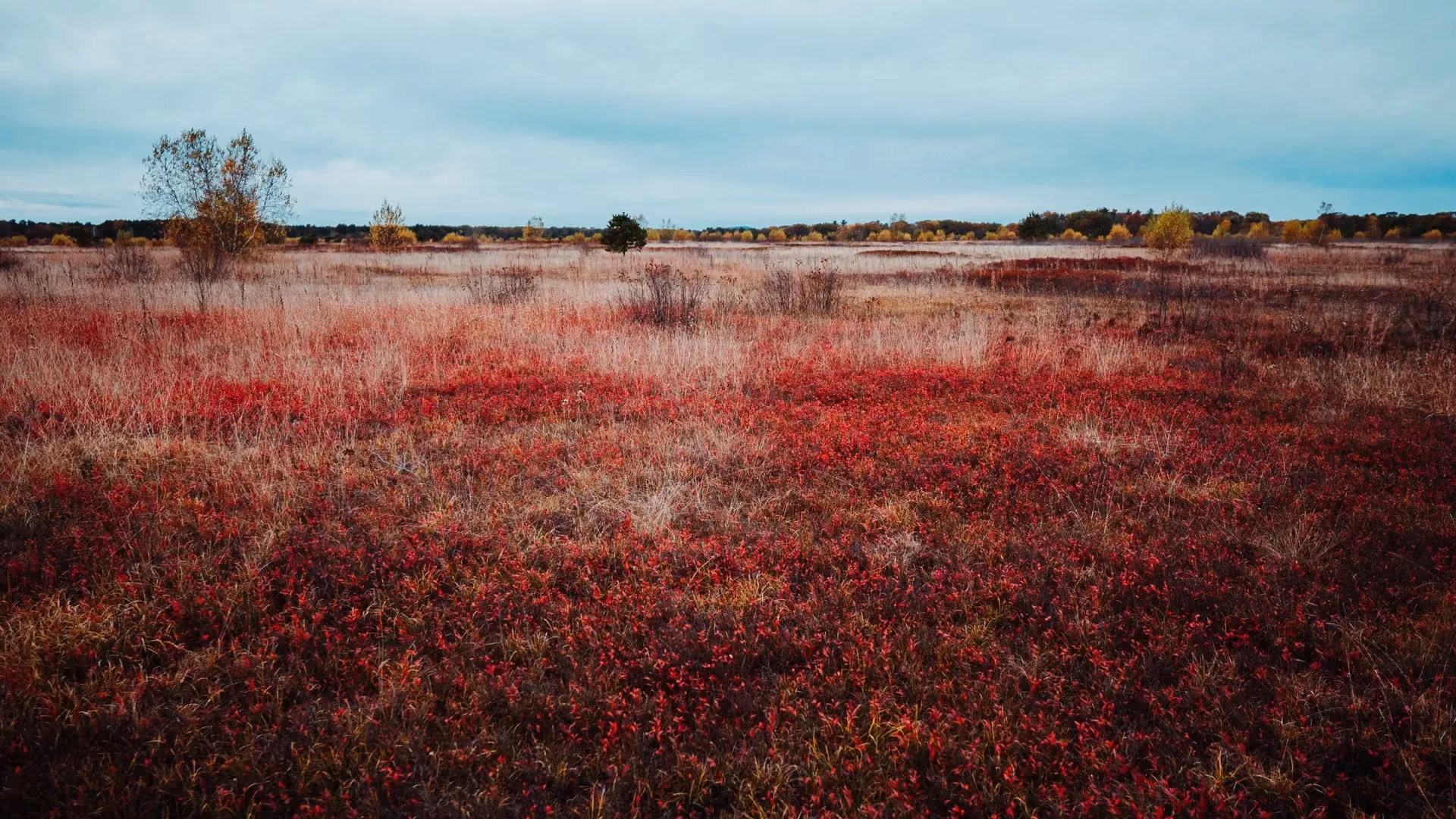 Kennebunk