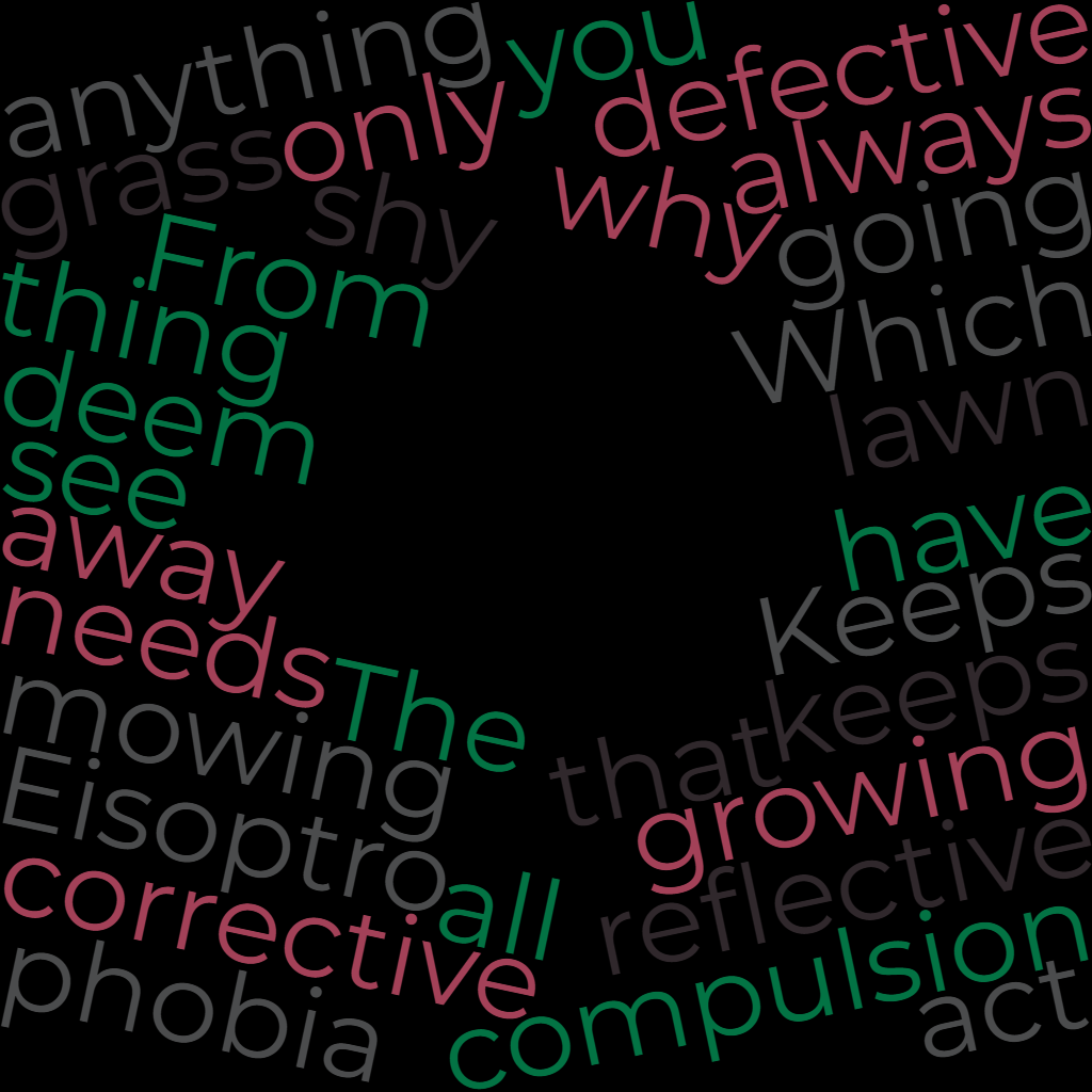 Eisoptrophobia