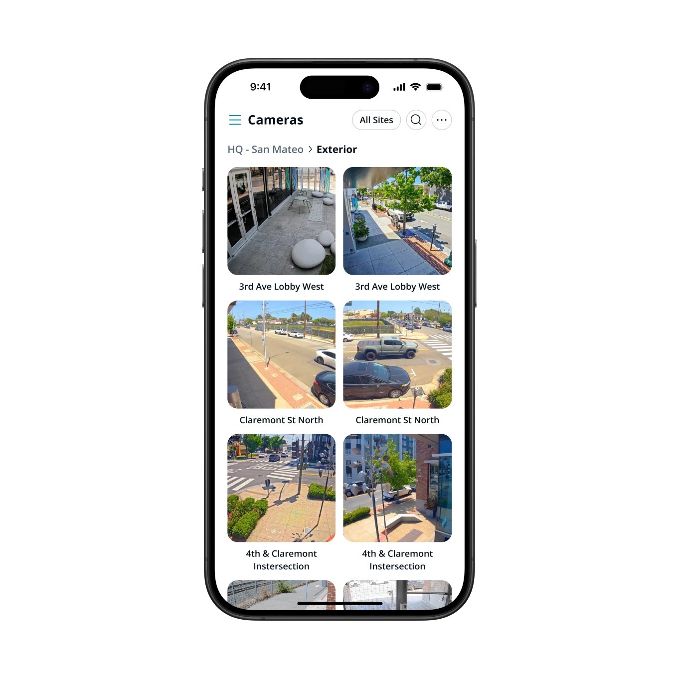 Remote estate security and camera monitoring interface
