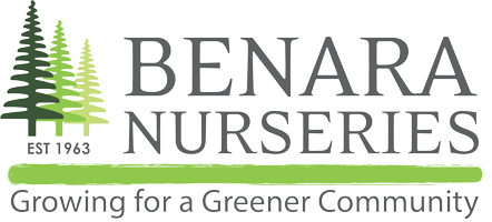 Benara Nurseries Logo