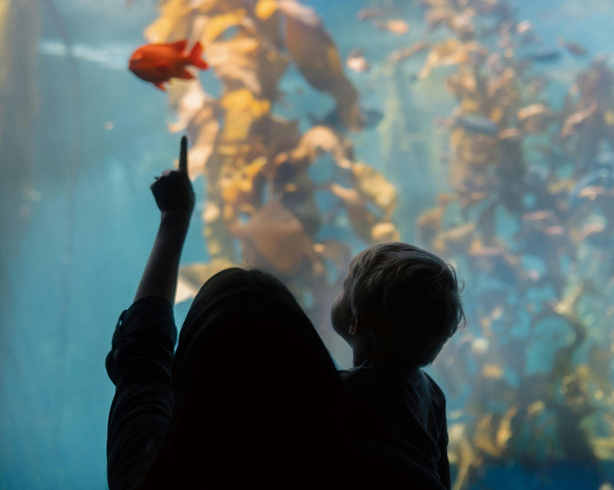 Silhouette of a mother holding a child in front of an aquarium