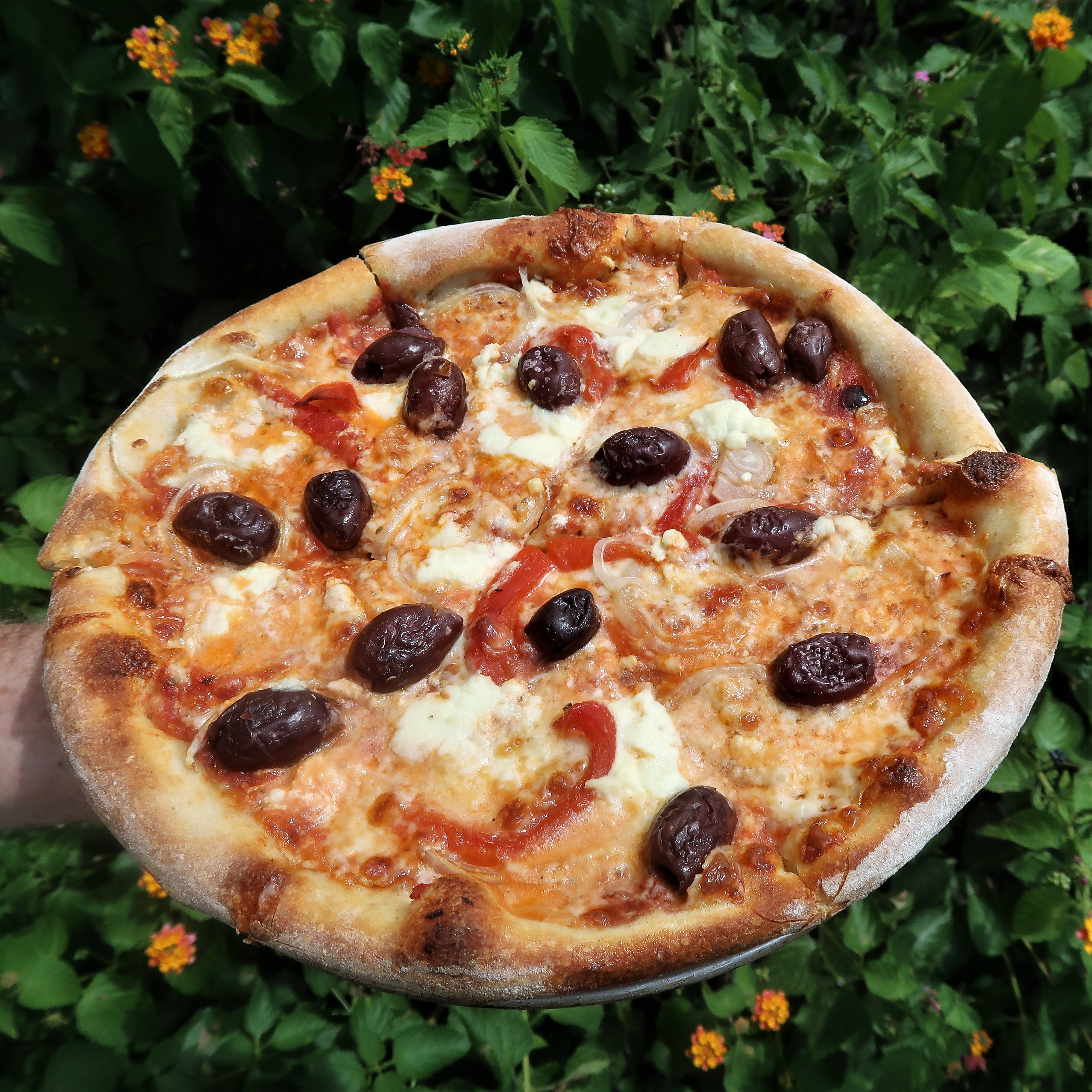 A pizza with kalamata olives, red bell peppers and multiple different types of cheese