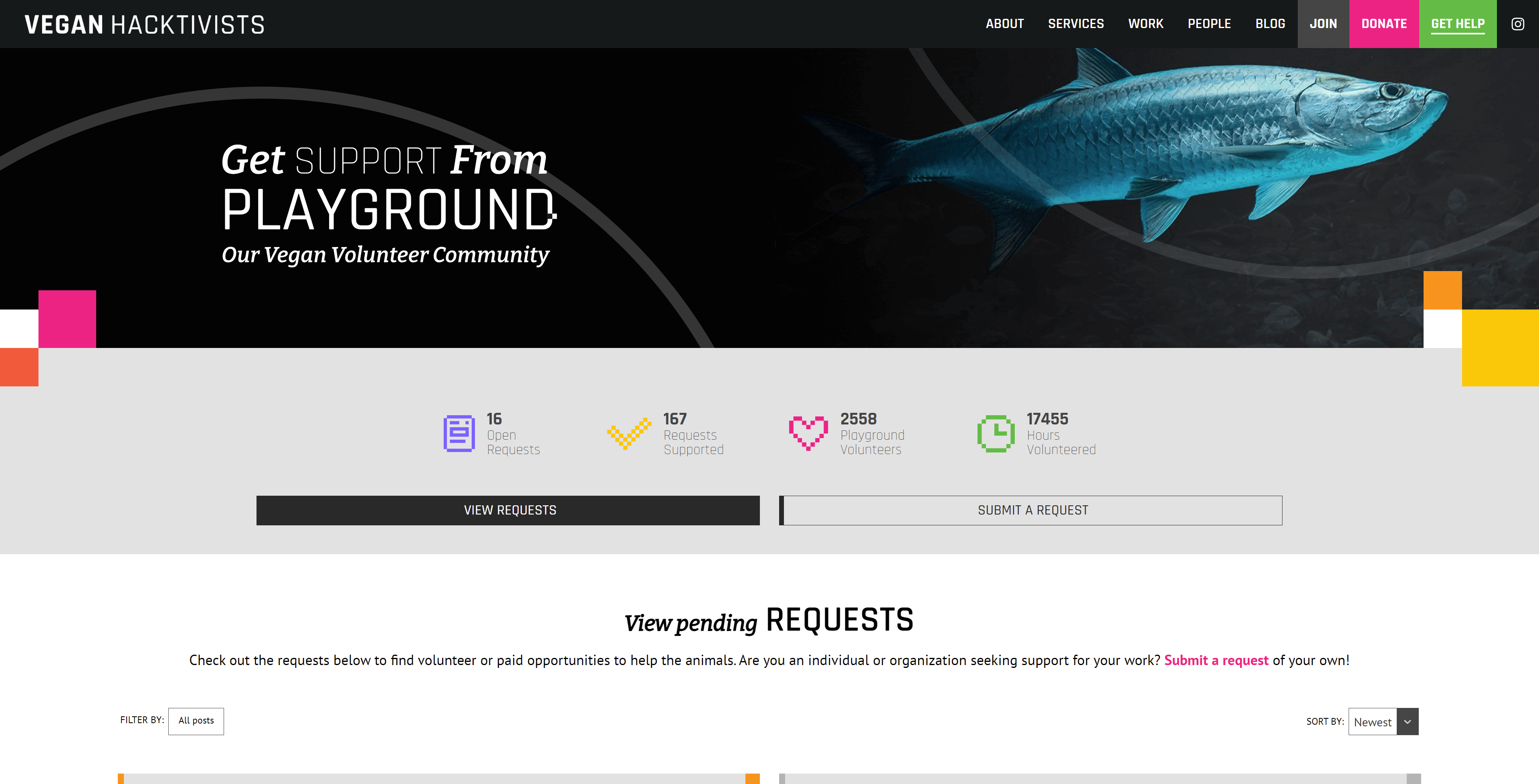 The Playground landing page, across the top it says "Get support from Playground: Our Vegan Volunteer Community"
