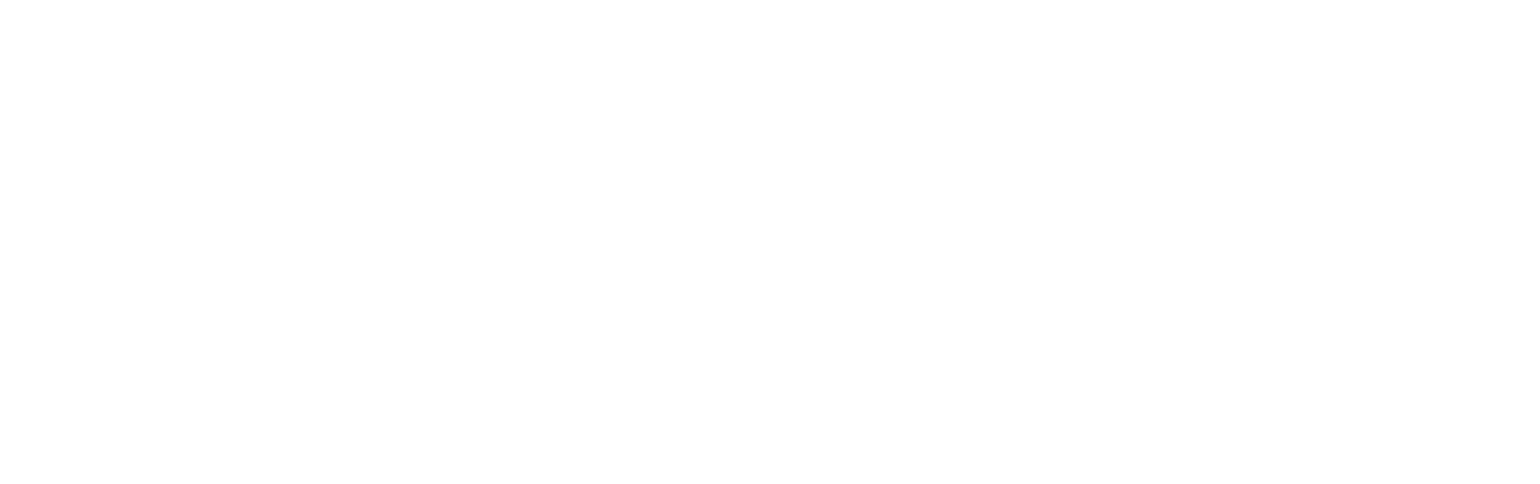 The Field Foundation Logo