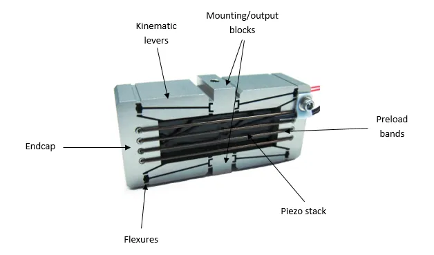DSM FPA piezo actuator diagram