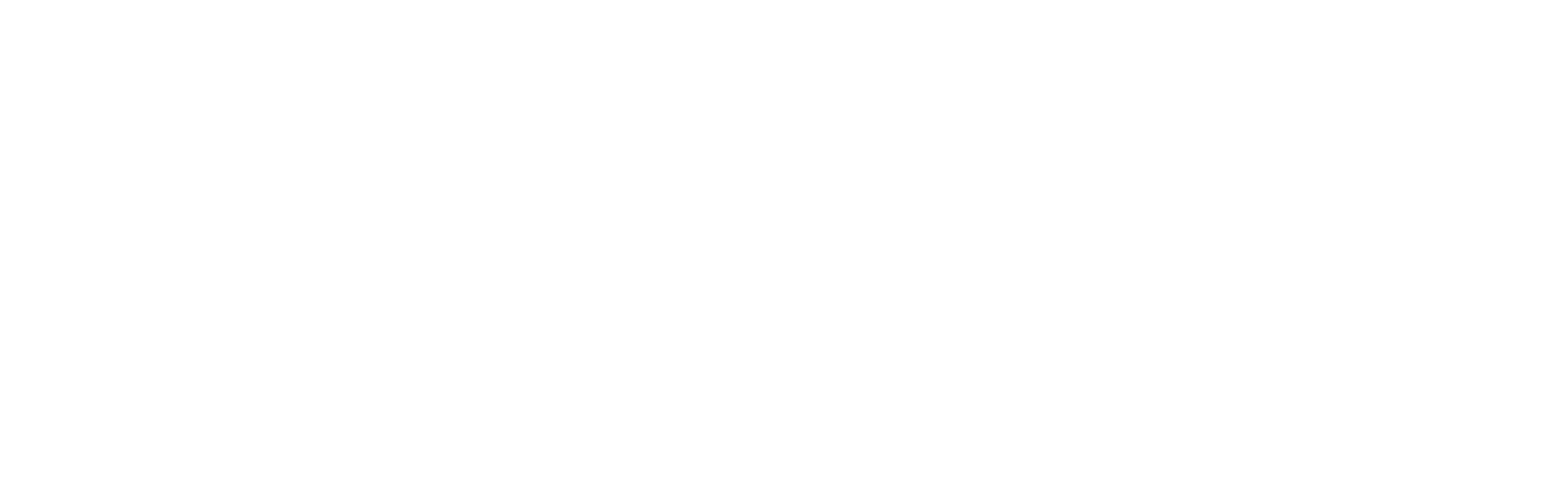 A white version of the DSM logo