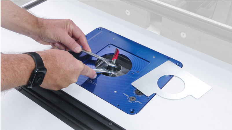 Sauter Pivoting Router Lift