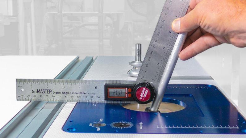 Sauter Pivoting Router Lift