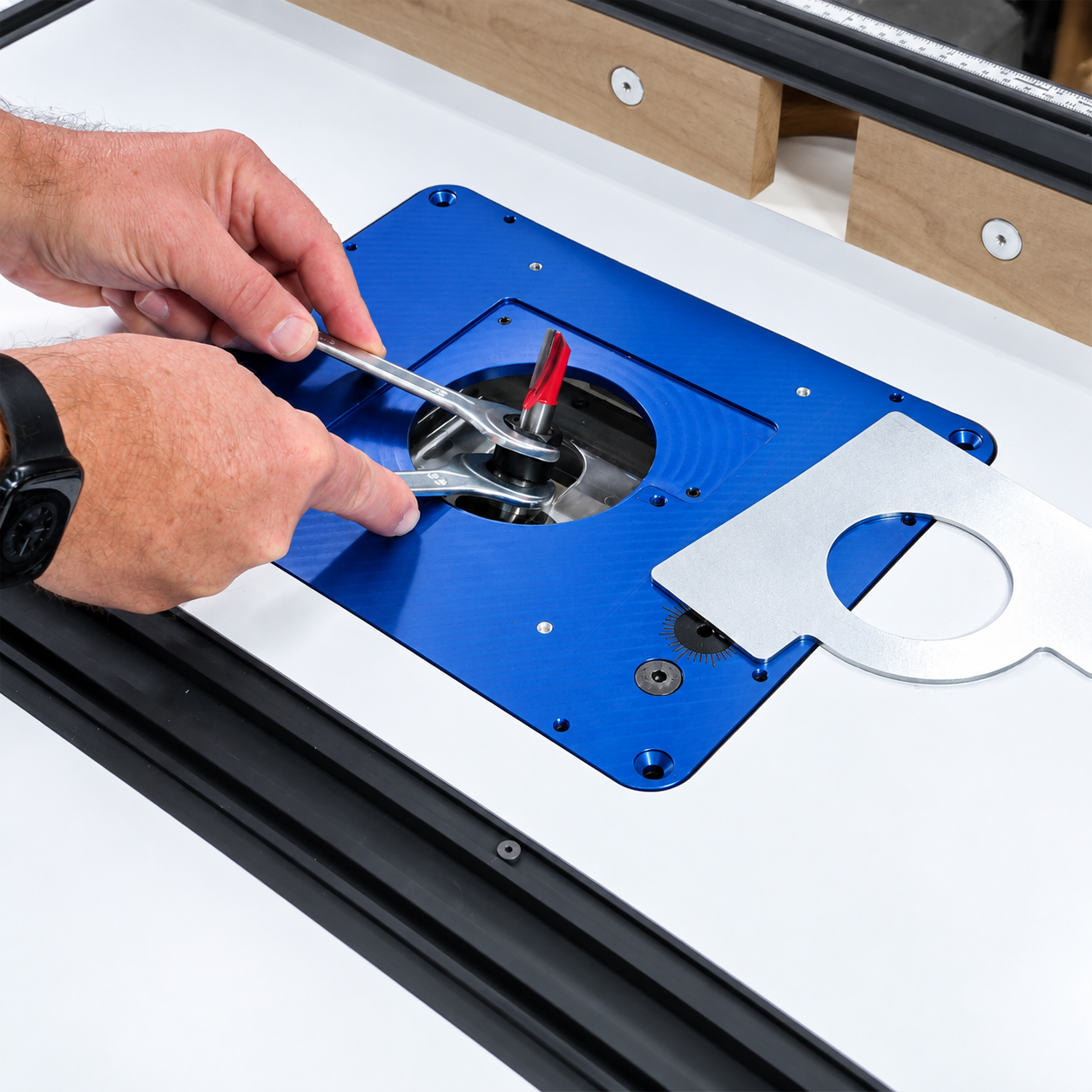 Sauter Pivoting Router Lift