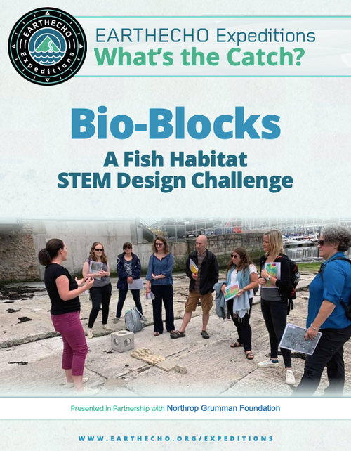 Earthecho International