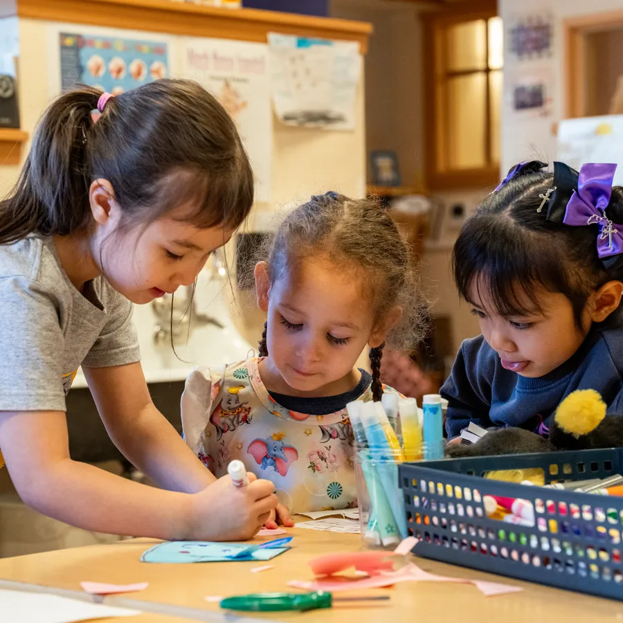 Our ELC Curriculum