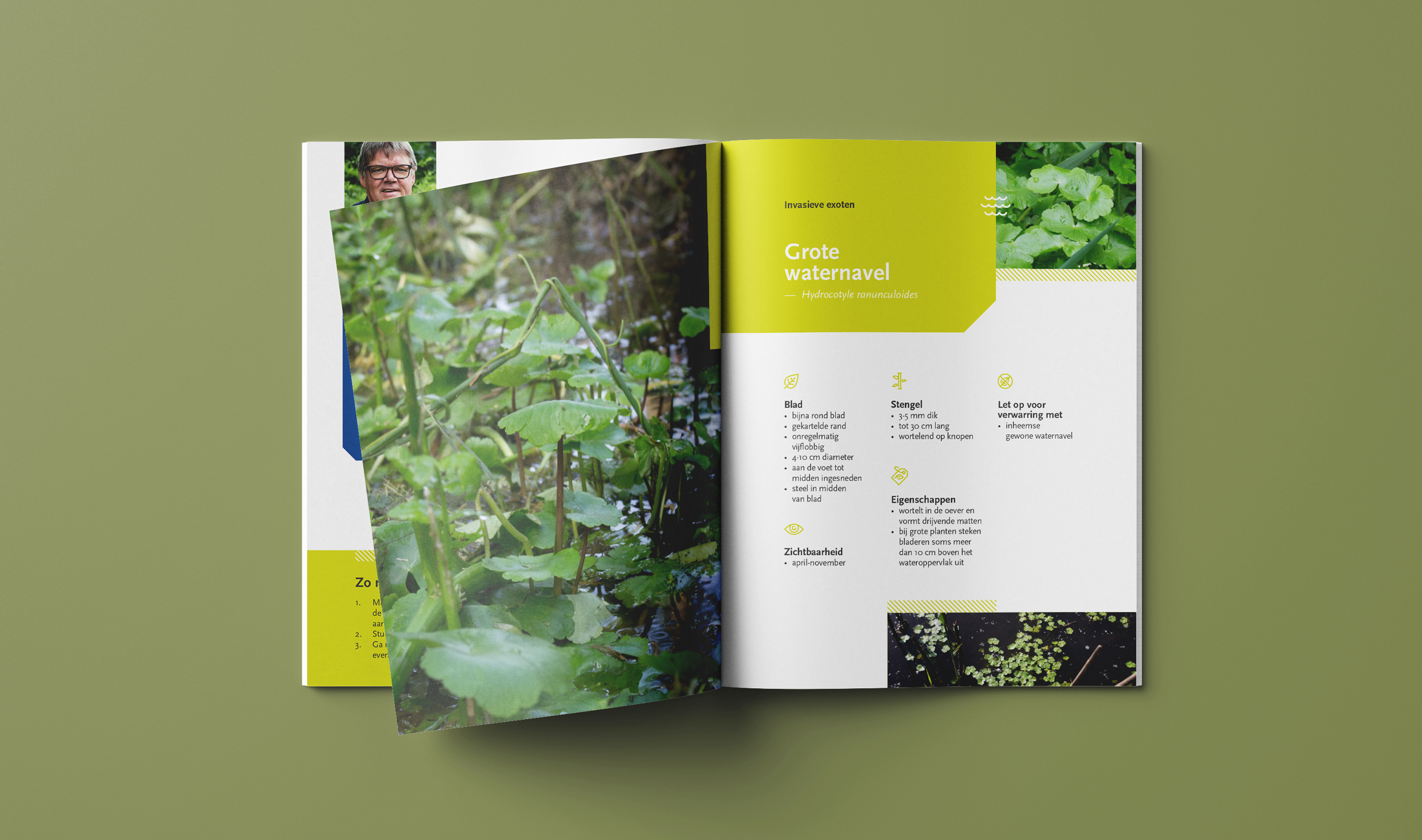Regionale Landschappen Brochure Invasieve Exoten