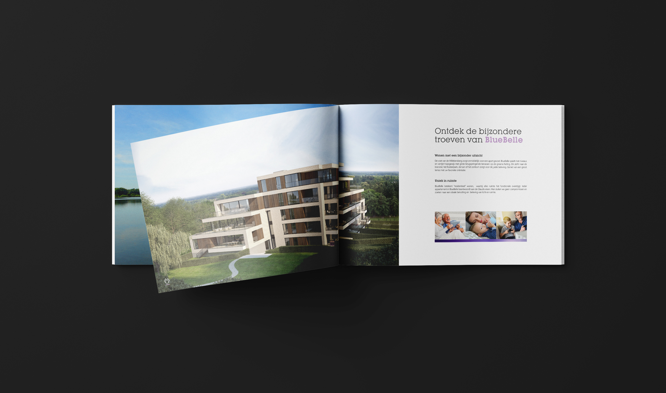 Glaudis Brochure Bluebelle
