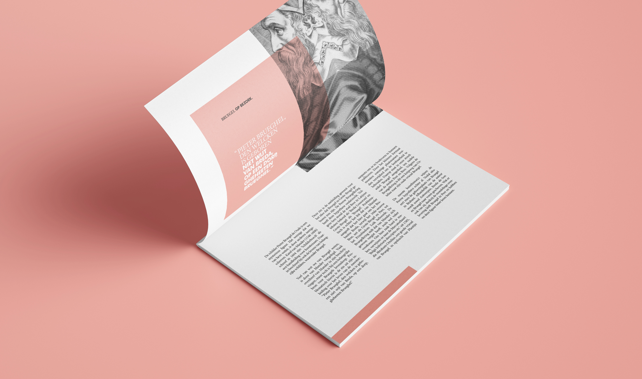 Bruegel op Bezoek Tentoonstelling Brochure