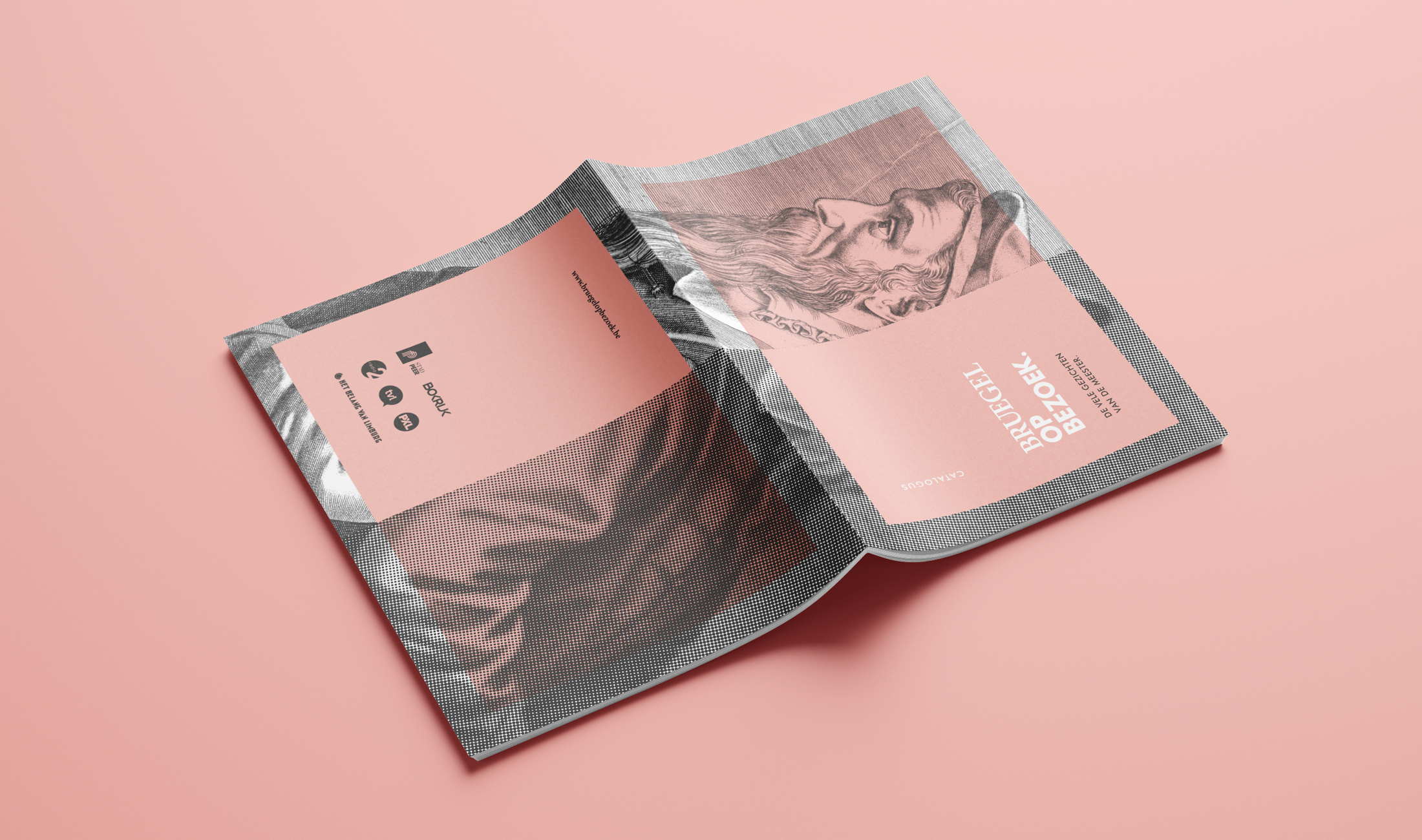Bruegel op Bezoek Tentoonstelling Brochure