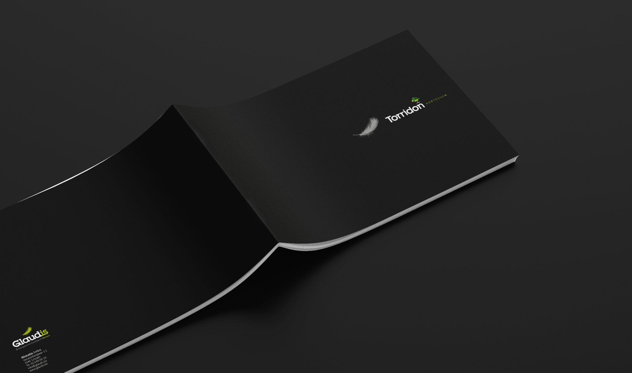 Glaudis BrochureTorridon