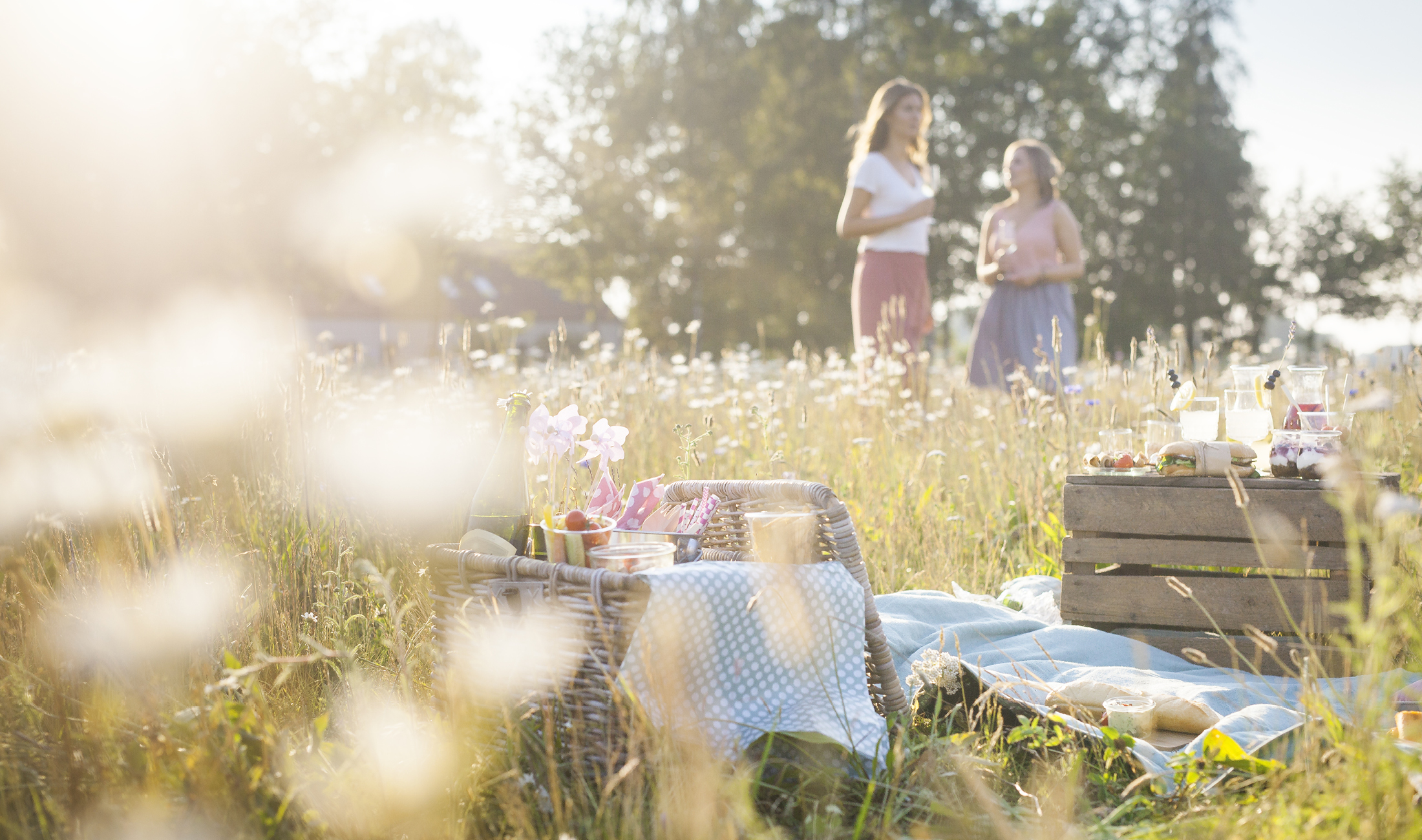 Picknicken in Bosland