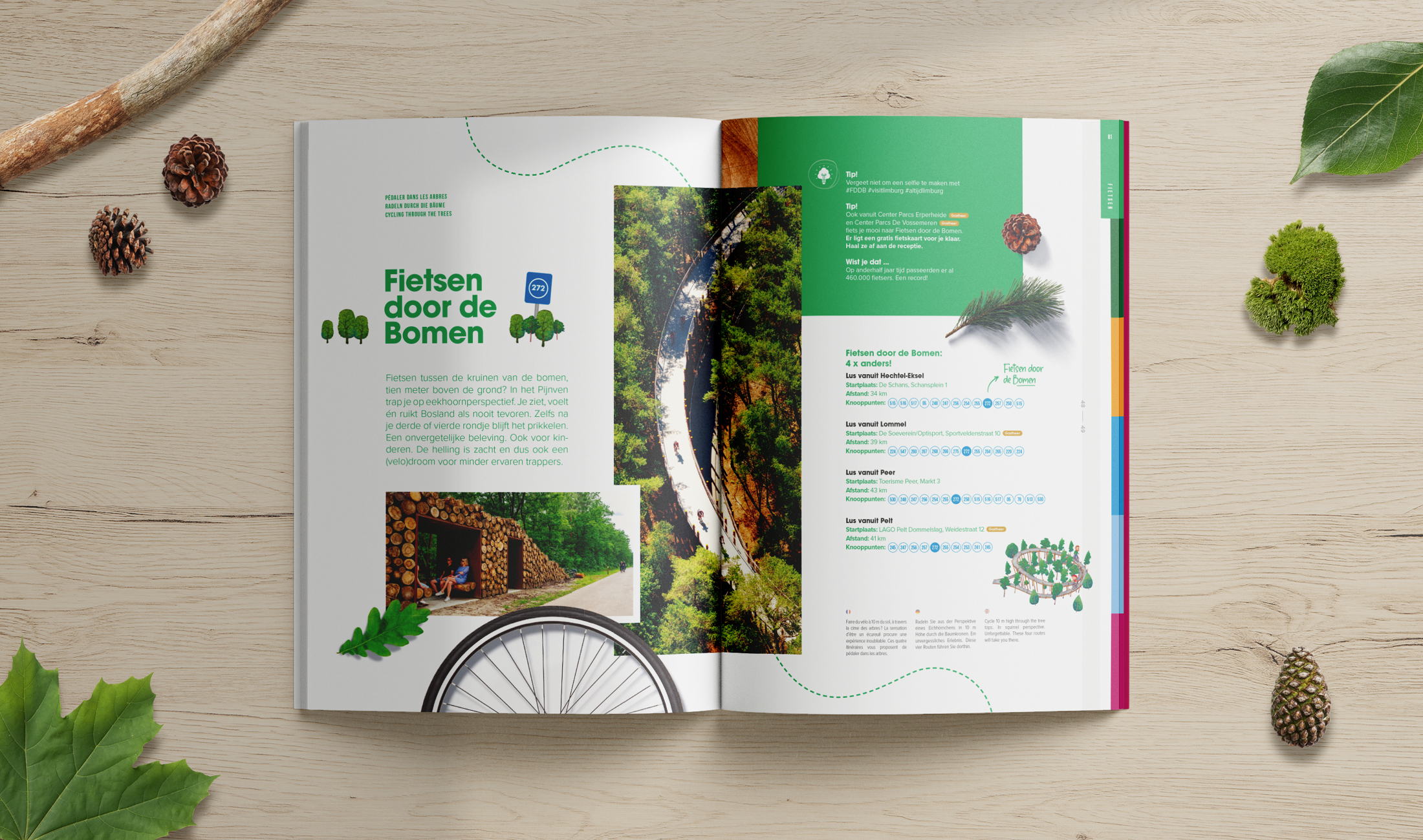 Fietsen door de Bomen in de Boslandgids