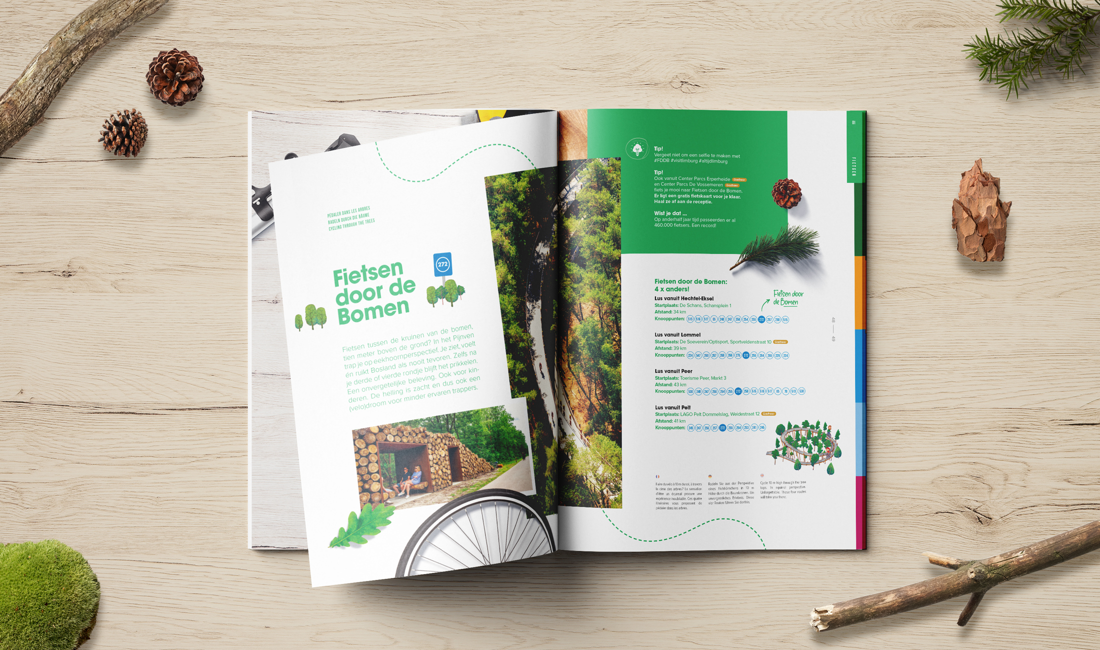 Boslandgids over Fietsen door de Bomen
