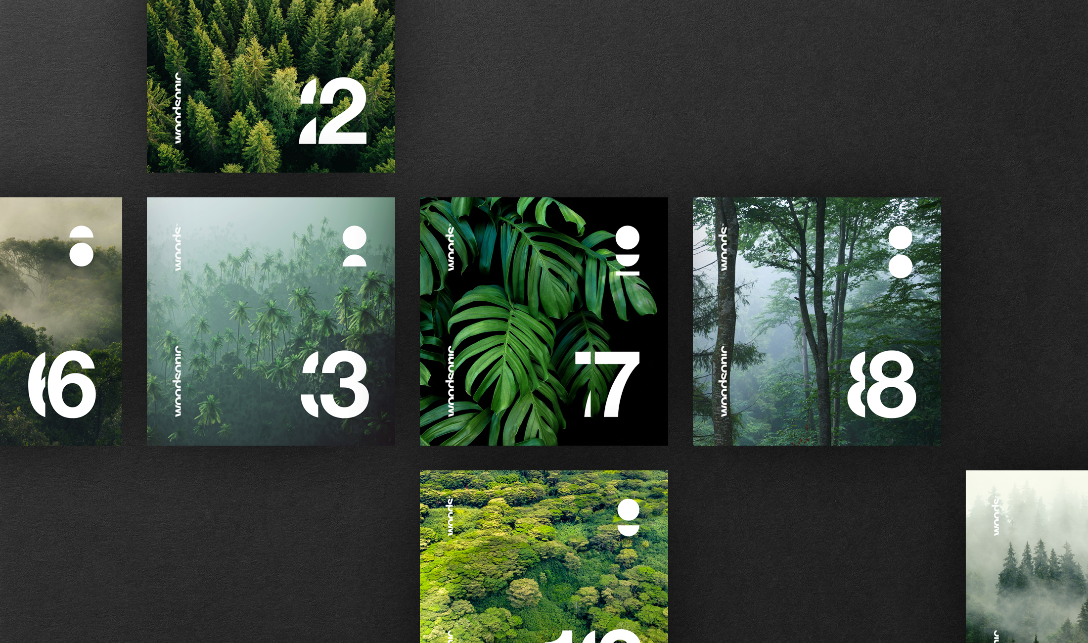 Woods Gym podcast artwork