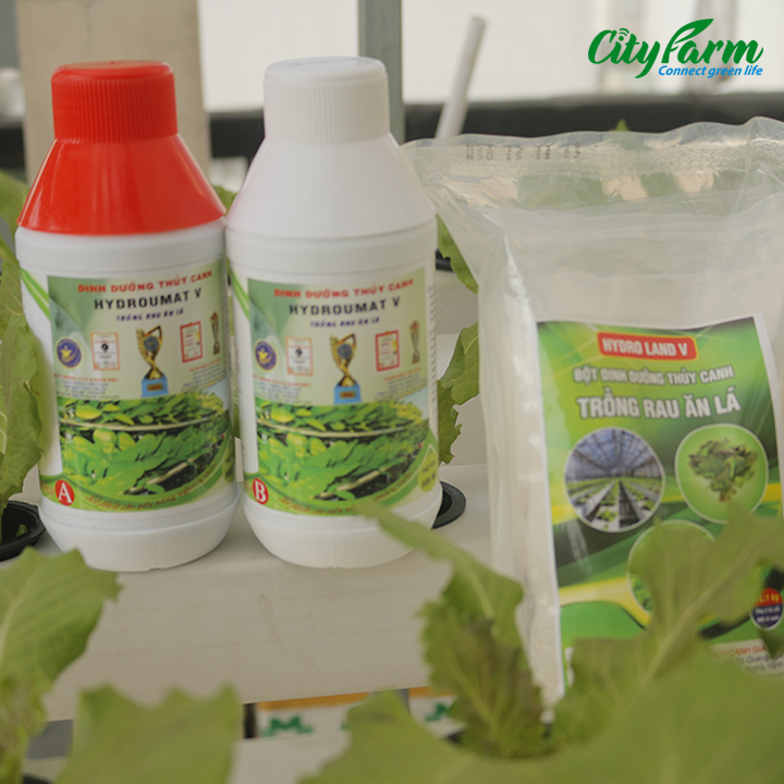Dung dịch thủy canh rau ăn lá