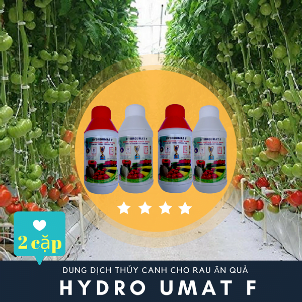 Dung Dịch Thủy Canh Hydroumat F cho củ quả