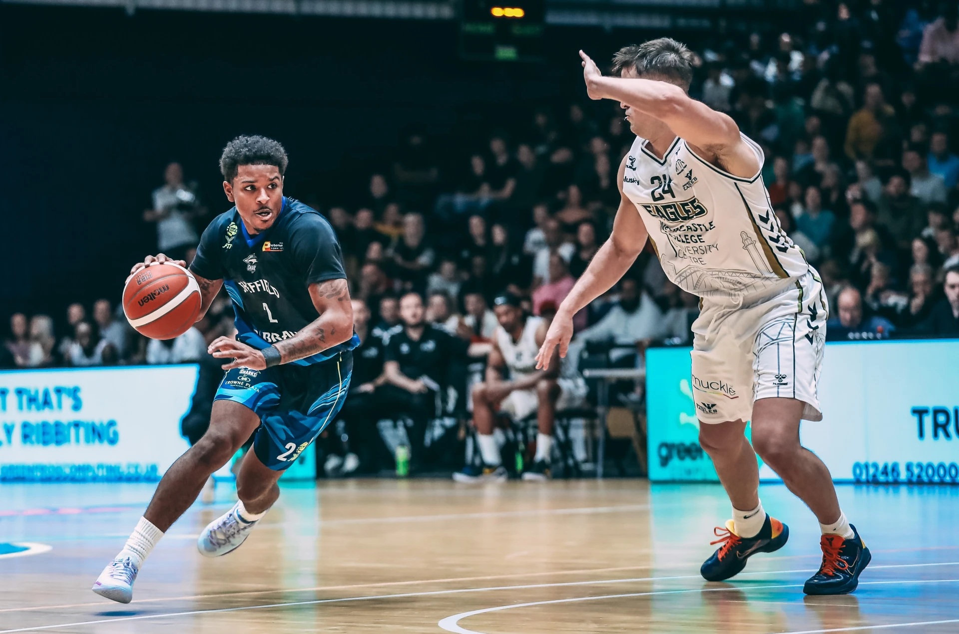 Support for the Sharks Continues - and So Does Access to Free Tickets!