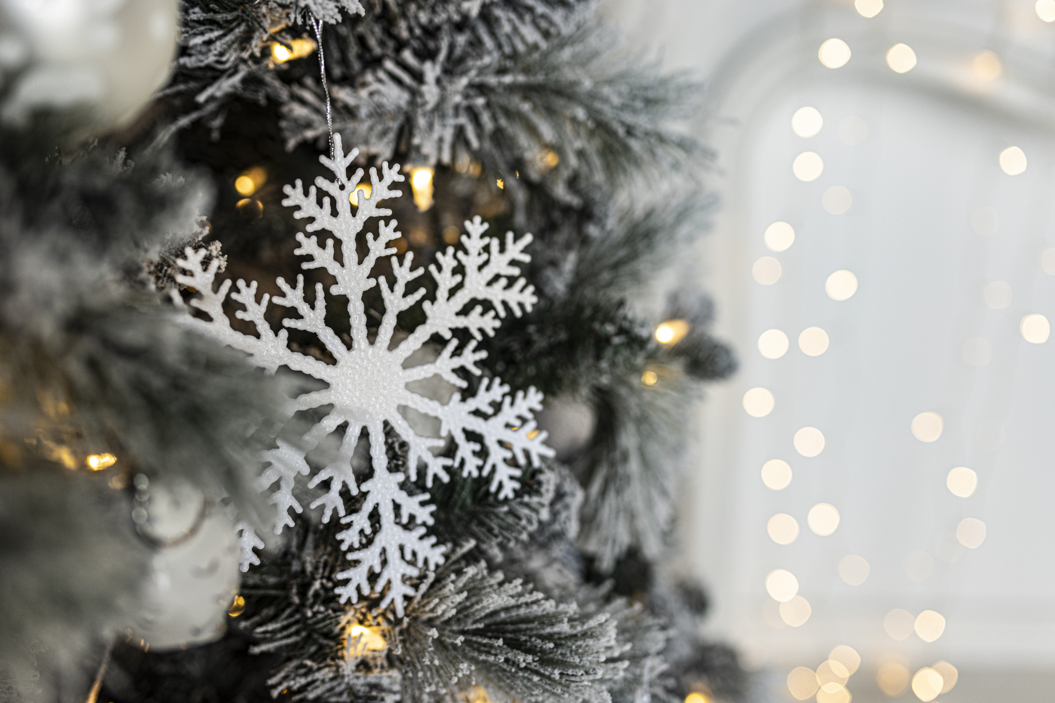 Lighting Up Sheffield for the 2025 Snowflake Appeal