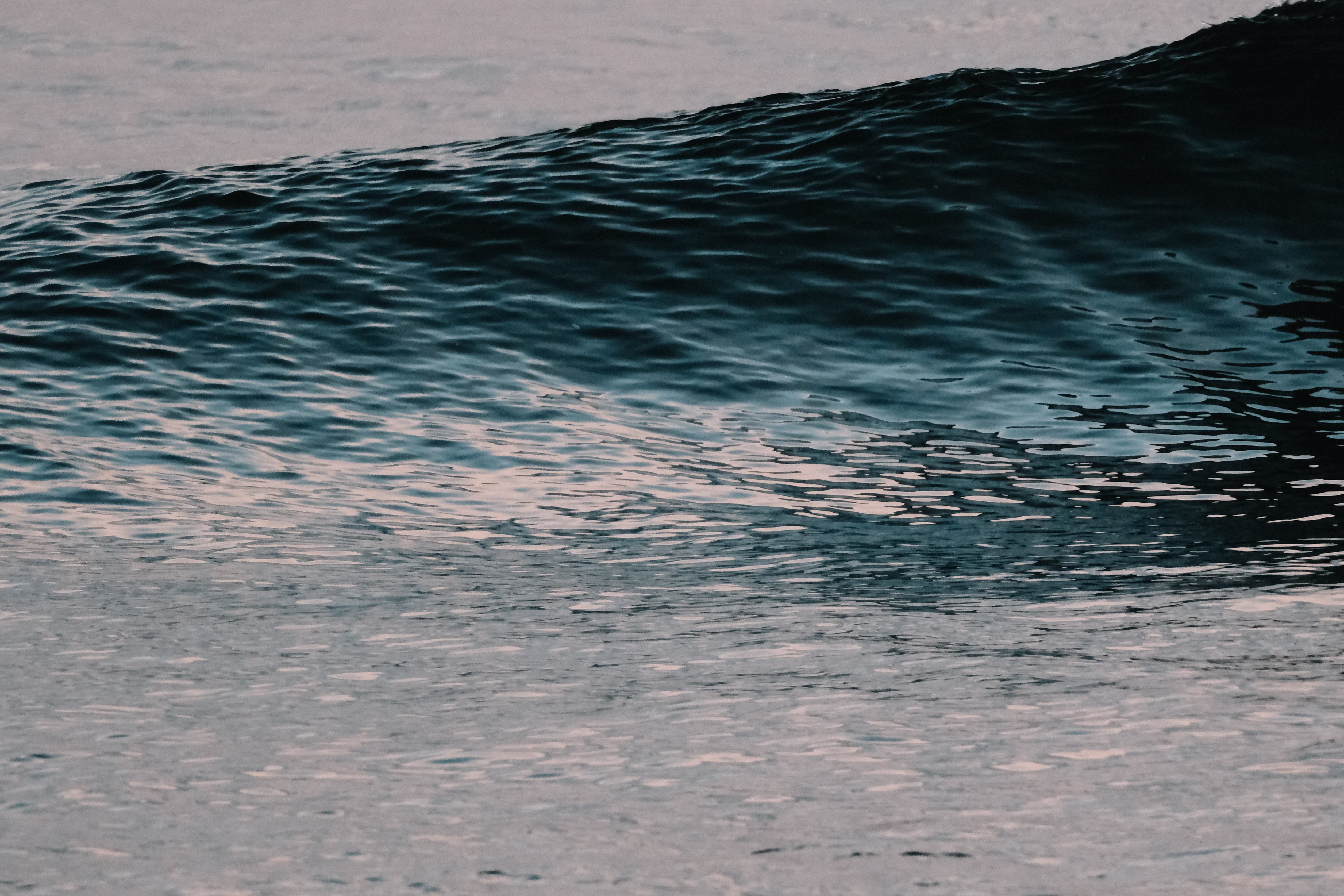 Surf Fest 2026