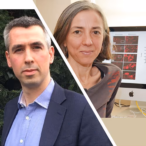 Researchers Antonella Spinazolla and Jonathan Rohrer