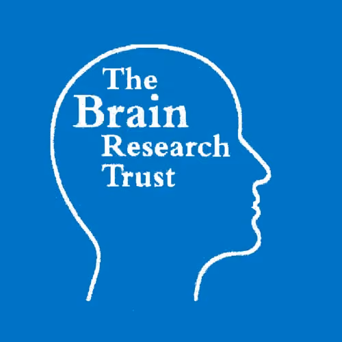 Old logo of Brain Research Trust