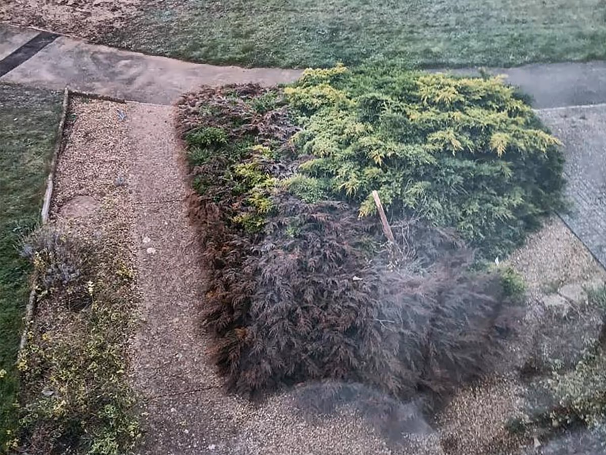 Mixed Size Fossil Buff Natural Stone, Cotswold 20mm Chippings, Charcoal Rumbled Borders and Block Edgings.