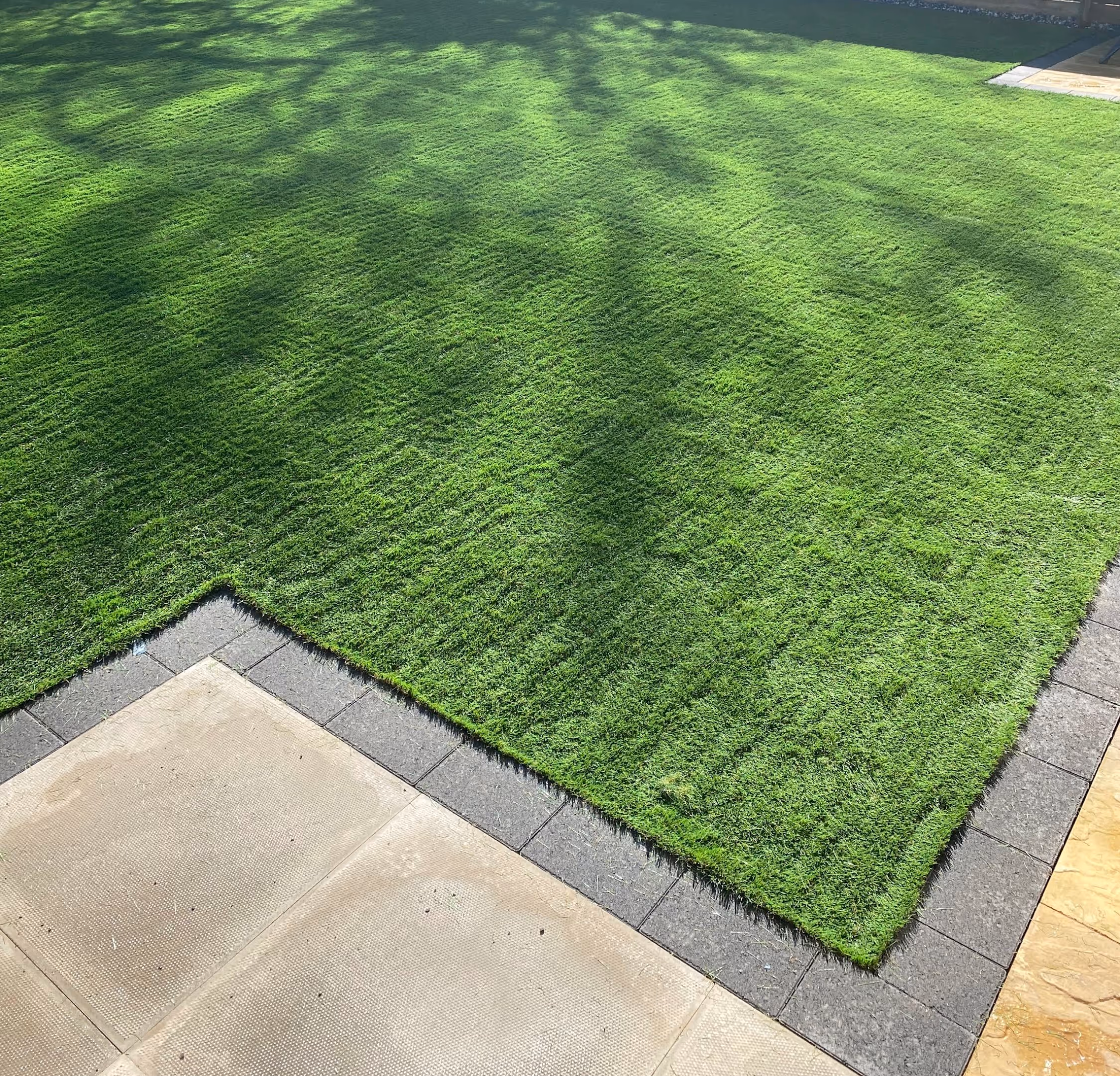 Patio an artificial lawn