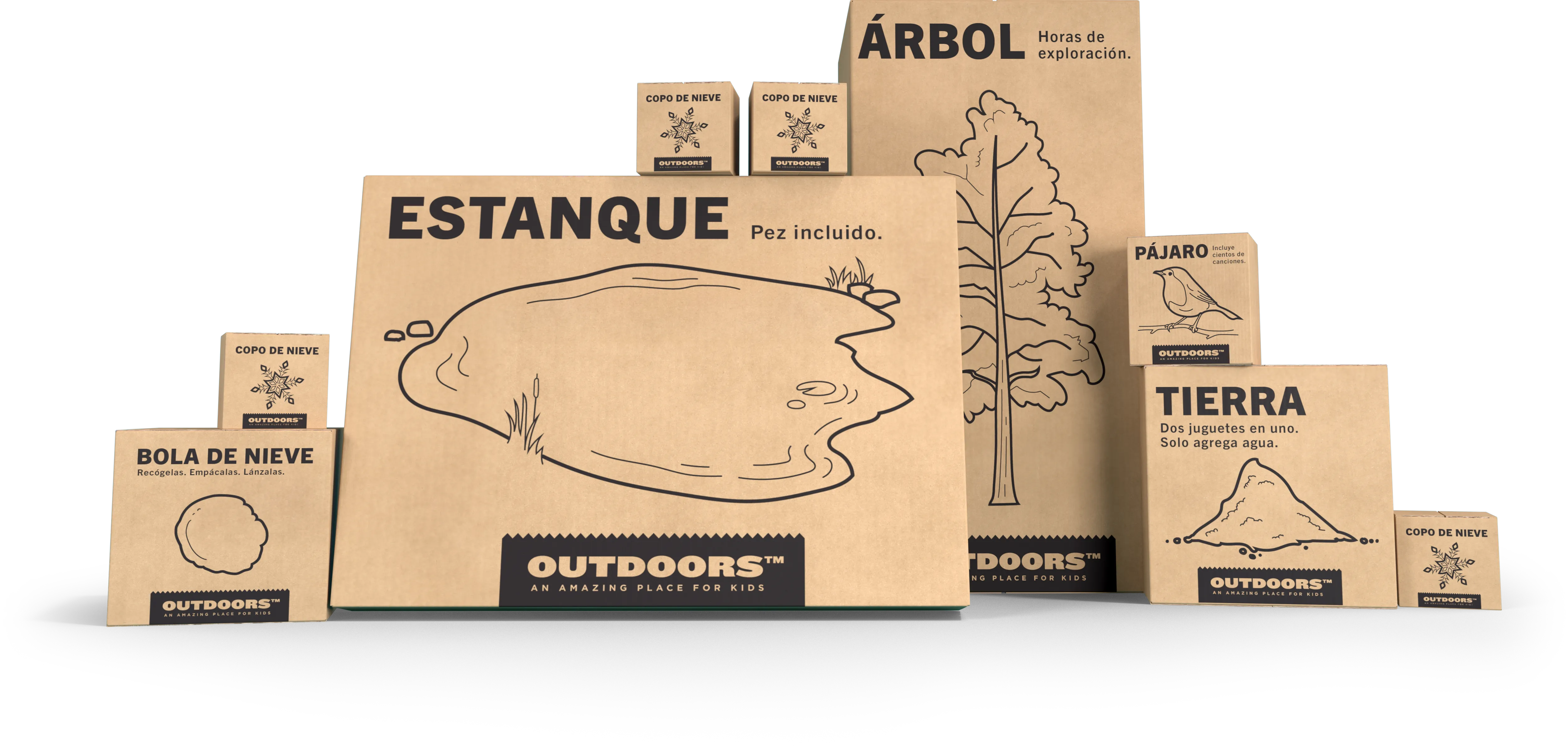 boxes containing items from nature