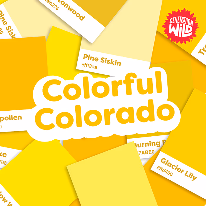 Yellow color swatches labeled with color names like Pine Siskin, Glacier Lily, and Burning Bush, surrounding the text Colorful Colorado.