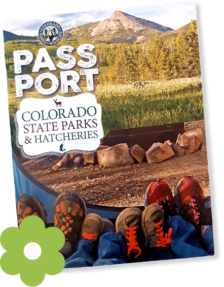 Colorado State Parks & Hatcheries passport booklet shown with a mountain, forest, and campsite.