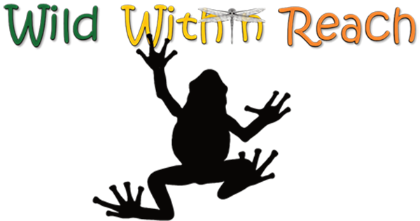 Wild Within Reach
