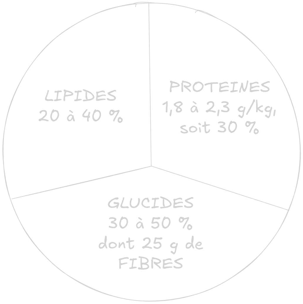 Répartition des macronutriments à consommer au quotidien pour réussir sa perte de poids et sa prise de muscle.