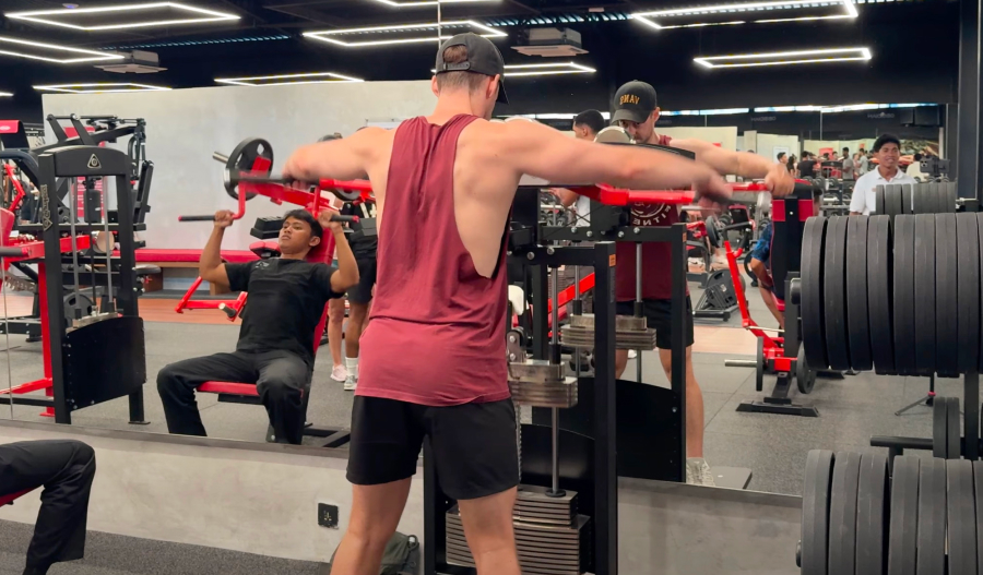 Élévations latérales avec Machine Gymleco : exercice de musculation à la salle de sport