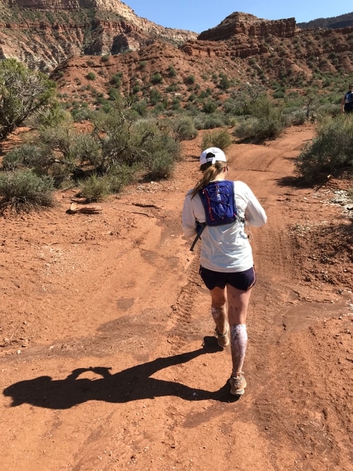 View of Antarctica from plane