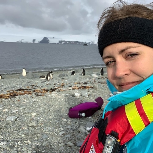 Antarctica marathon penguins
