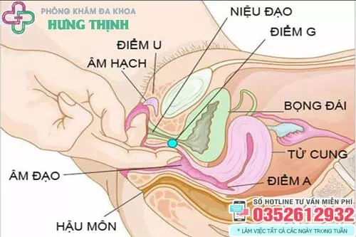 Điểm G