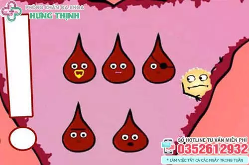 Rong kinh có nguy hiểm không?