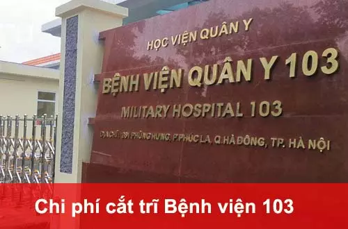 Chi phí cắt trĩ bệnh viện 103